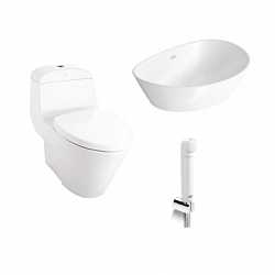 combo-goi-v4-american-standard-vf-2011-wp-f633-wf-ts28w