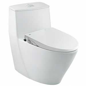 bon-cau-1-khoi-inax-nap-rua-co-ac-919r-cw-s15vn