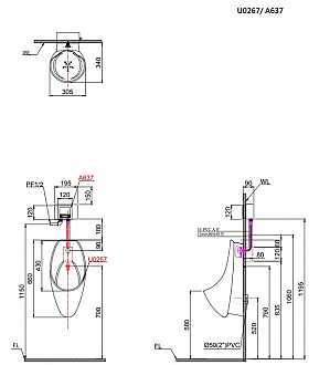 bon-tieu-nam-treo-tuong-caesar-u0267