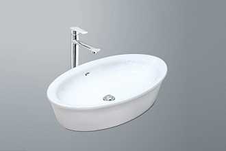 chau-rua-lavabo-duong-ban-l-300v