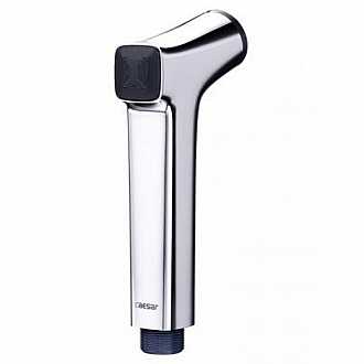 voi-xit-ve-sinh-xi-caesar-bs307cw-nut-nhan