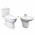 combo1ns-toto-bon-cau-2-khoi-cs320drt3-lht300cr