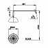 bat-sen-mua-gan-tuong-co-loa-bluetooth-cotto-z002-bl-mau-den