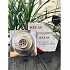 pheu-thu-san-nuoc-inox-304-120x120-d60
